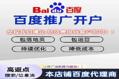百度广告推广在旅游行业的成功案例